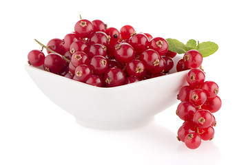 Image showing Red Currants