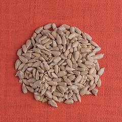 Image showing Circle of shelled sunflower seeds