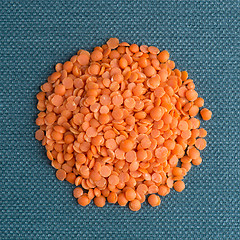 Image showing Circle of peeled lentils