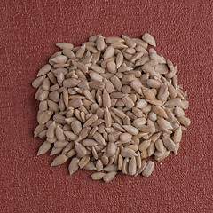 Image showing Circle of shelled sunflower seeds