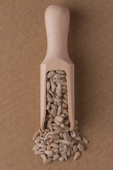 Image showing Wooden scoop with shelled sunflower seeds