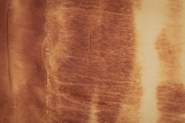 Image showing Old paper texture