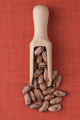 Image showing Wooden scoop with pinto beans