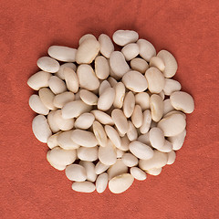 Image showing Circle of white beans