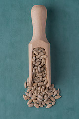 Image showing Wooden scoop with shelled sunflower seeds