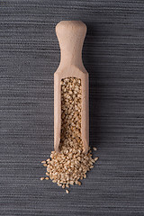 Image showing Circle of sesame seeds