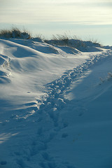 Image showing Tracks in the snow