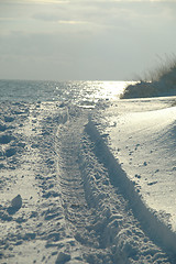 Image showing Car track in the snow