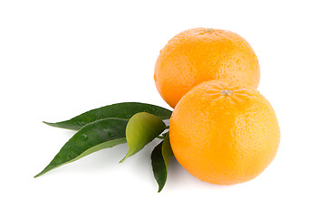 Image showing Ripe tangerine or mandarin