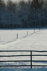 Image showing Winter