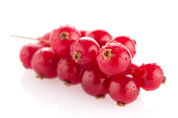 Image showing Red Currant