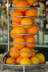 Image showing Oranges