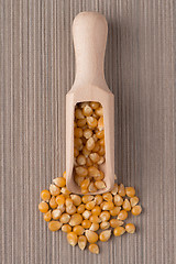 Image showing Wooden scoop with corn