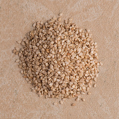 Image showing Circle of sesame seeds