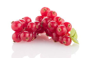 Image showing Red Currant