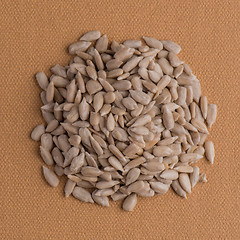 Image showing Circle of shelled sunflower seeds