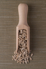 Image showing Wooden scoop with shelled sunflower seeds