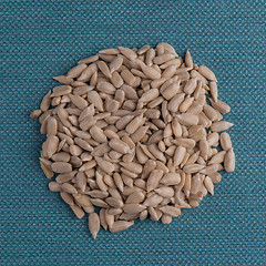 Image showing Circle of shelled sunflower seeds