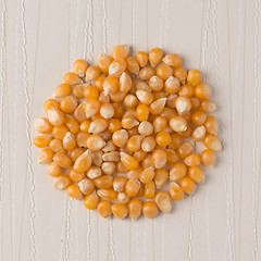 Image showing Circle of corn