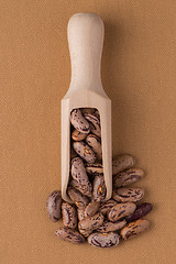 Image showing Wooden scoop with pinto beans