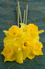 Image showing Jonquil flowers