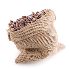 Image showing Pinto beans bag