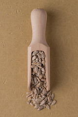 Image showing Wooden scoop with shelled sunflower seeds