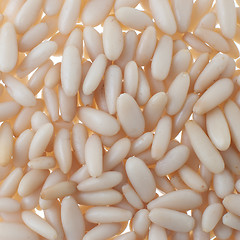 Image showing Pine nuts background