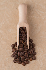 Image showing Wooden scoop with coffee beans