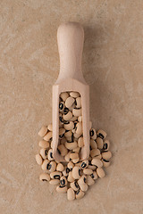 Image showing Wooden scoop with white beans