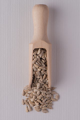 Image showing Wooden scoop with shelled sunflower seeds