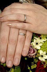 Image showing Wedding hands