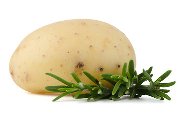 Image showing New potato