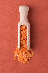 Image showing Wooden scoop with  peeled lentils