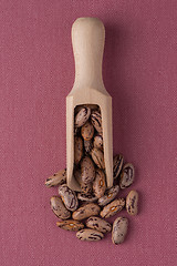 Image showing Wooden scoop with pinto beans