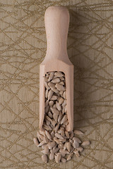 Image showing Wooden scoop with shelled sunflower seeds