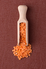 Image showing Wooden scoop with  peeled lentils