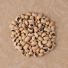 Image showing Circle of white beans