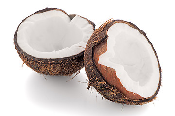 Image showing Coconut