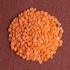 Image showing Circle of peeled lentils