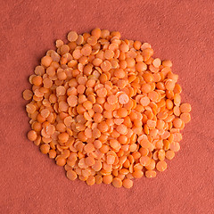 Image showing Circle of shelled sunflower seeds