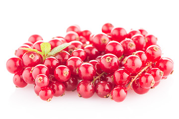 Image showing Red Currants