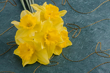 Image showing Jonquil flowers