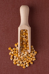 Image showing Wooden scoop with corn