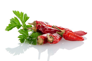 Image showing Red chili or chilli pepper and parsley leaves