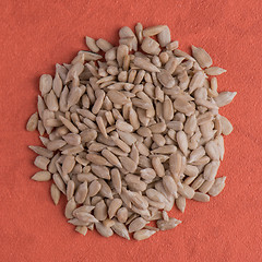 Image showing Circle of shelled sunflower seeds