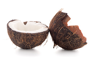 Image showing Coconut