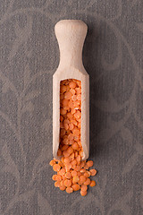 Image showing Wooden scoop with  peeled lentils