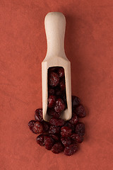 Image showing Wooden scoop with dried cranberries