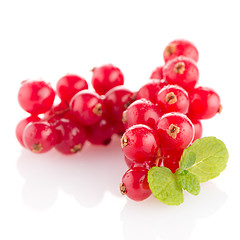 Image showing Red Currant